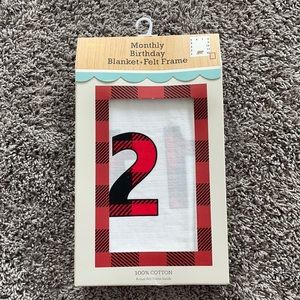 Modern Baby- Monthly Birthday Blanket + Felt Frame